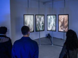 Modern Body Festival 2018 – ALIEN BODIES – Exhibition Weekend 1 – photos by Erin McKinney -124